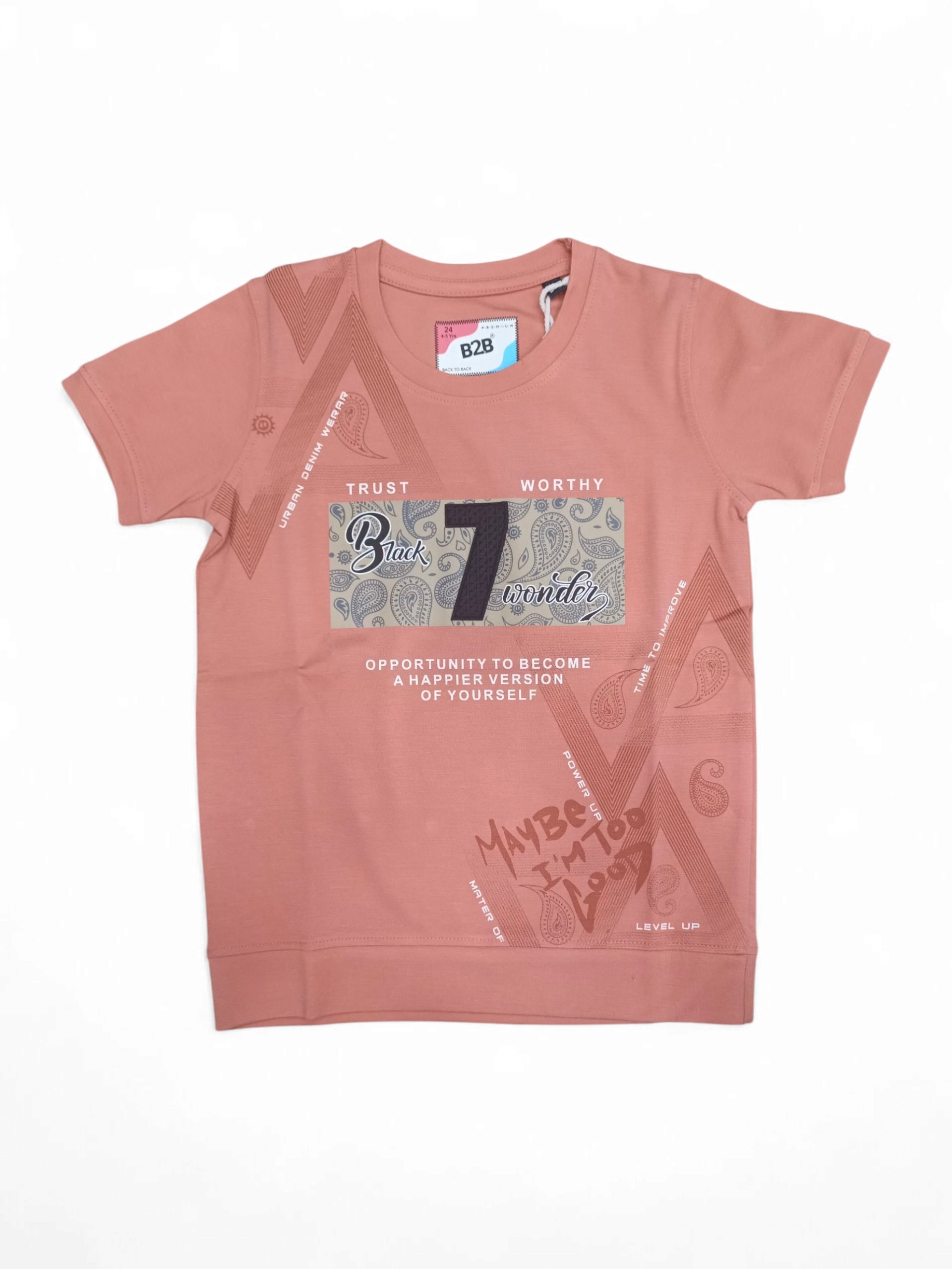 BHC TS 24-24 (4 to 5 years) BHC TS 24-24 (4 to 5 years)